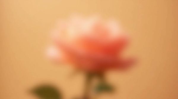 Pourquoi opter pour un tel rose peut transformer vos envies sexuelles